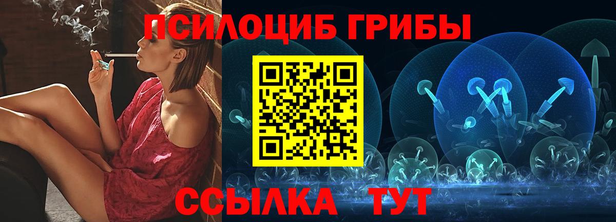 Псилоцибиновые грибы Psilocybe Туймазы