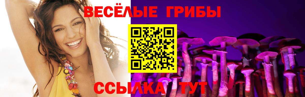 Галлюциногенные грибы GOLDEN TEACHER  Вход с VPN  Туймазы 